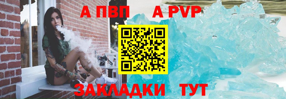 Alfa_PVP СК КРИС Барнаул