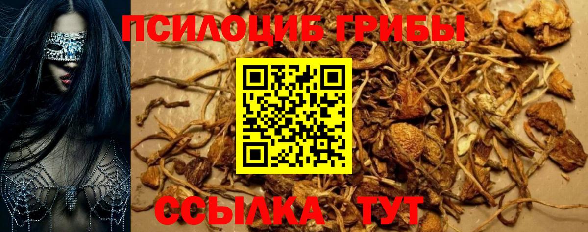 Псилоцибиновые грибы MAGIC MUSHROOMS Барнаул
