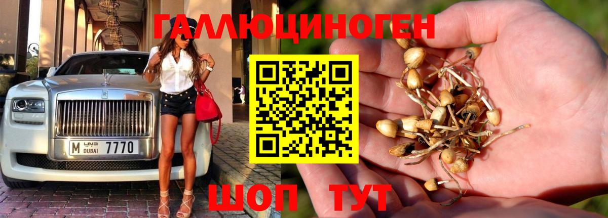 Барнаул  Псилоцибиновые грибы Psilocybine cubensis  Вход с VPN 